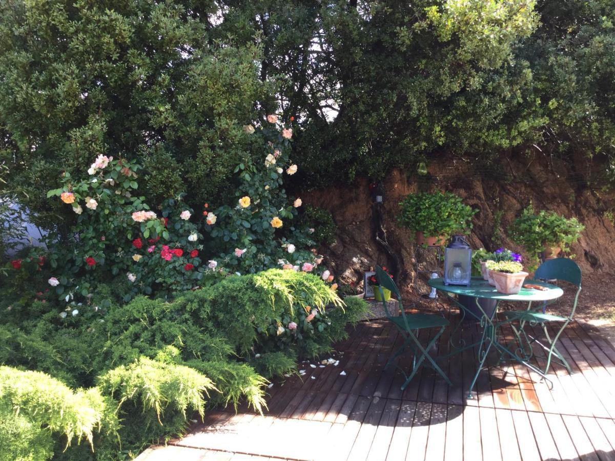 Villa De La Plage Grosseto-Prugna ภายนอก รูปภาพ