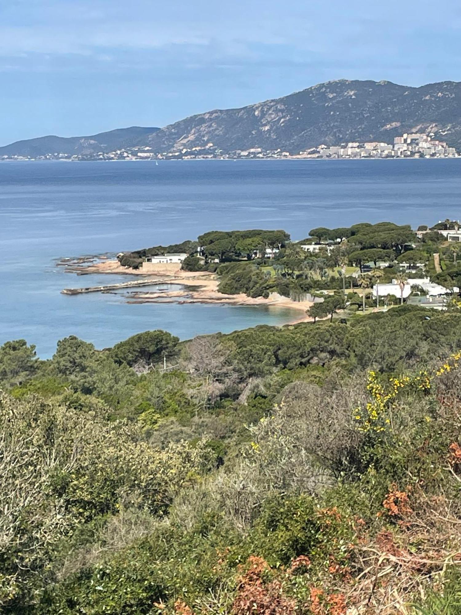 Villa De La Plage Grosseto-Prugna ภายนอก รูปภาพ